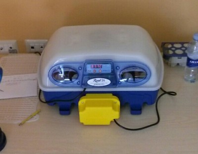 _20140721_124100.JPG (52.24 KiB) Osservato 487 volte _20140721_124100.JPG