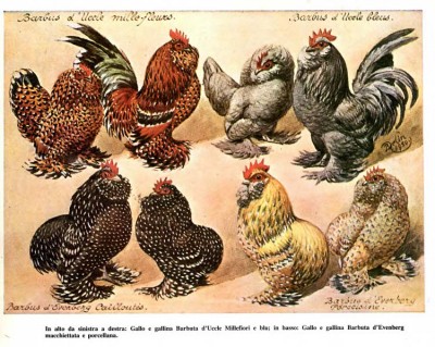 602539200.jpg (137.07 KiB) Osservato 1295 volte 602539200.jpg