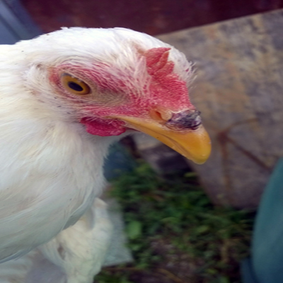 WP_20140912_005.jpg WP_20140912_005.jpg