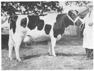 herd-apx-2-8.jpg (18.58 KiB) Osservato 708 volte herd-apx-2-8.jpg