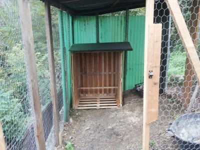 poll.jpg (196.01 KiB) Osservato 1250 volte poll.jpg