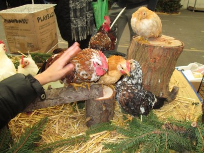 re1.JPG (133.25 KiB) Osservato 792 volte re1.JPG