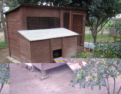 Questo è il pollaio. Nella parte grande ci sono i mangimi, il serbatoio dell'acqua potabile e gli attrezzi. Nella parte anteriore il ricovero per le galline e le cove esterne / DSCN8351.JPG DSCN8351.JPG