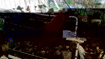 20150309_164122.jpg (143.07 KiB) Osservato 910 volte 20150309_164122.jpg