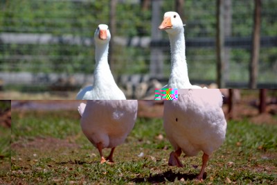 image1 (3).JPG (77.86 KiB) Osservato 332 volte image1 (3).JPG