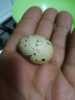 20160617060406.jpg (48.11 KiB) Osservato 452 volte 20160617060406.jpg