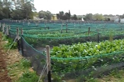 ved.JPG (35.23 KiB) Osservato 590 volte ved.JPG