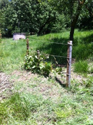 lo so non è granché.... / foto.JPG foto.JPG