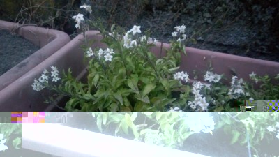 P_20170825_202522.jpg (72.61 KiB) Osservato 477 volte P_20170825_202522.jpg