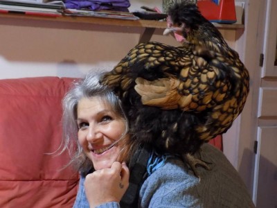 Io e Guendalina, un giorno come tanti! / 23559492_727020390829868_3517182166753921652_n.jpg 23559492_727020390829868_3517182166753921652_n.jpg