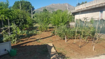 Zona orto 150 mq circa / 15327907265261912024445.jpg 15327907265261912024445.jpg