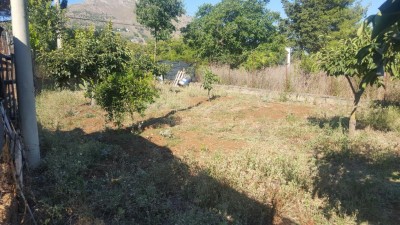 Zona pollaio / 1532790875769651427261.jpg 1532790875769651427261.jpg