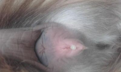 20181214_121752.jpg (42.53 KiB) Osservato 420 volte 20181214_121752.jpg