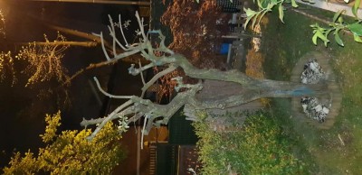 15867214083478094667444116915634.jpg (90.11 KiB) Osservato 368 volte 15867214083478094667444116915634.jpg