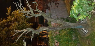 15867214741739015954444165634541.jpg (107.91 KiB) Osservato 368 volte 15867214741739015954444165634541.jpg