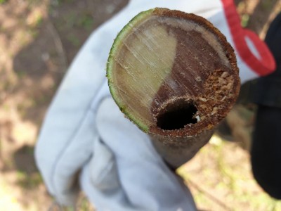 20200404_154344.jpg (65.77 KiB) Osservato 337 volte 20200404_154344.jpg