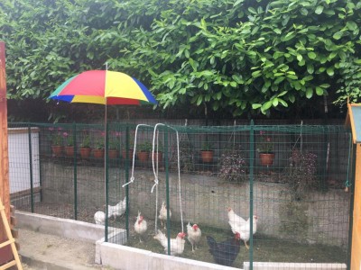 AC7F6663-8E95-4CA0-A834-D5A7A9BC3AFD.jpeg (146.46 KiB) Osservato 306 volte AC7F6663-8E95-4CA0-A834-D5A7A9BC3AFD.jpeg