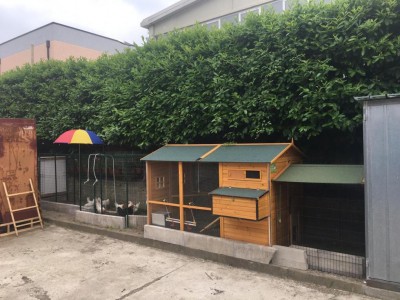 FE0A3AFA-D77A-444B-9222-4421883B48F9.jpeg (125.25 KiB) Osservato 306 volte FE0A3AFA-D77A-444B-9222-4421883B48F9.jpeg