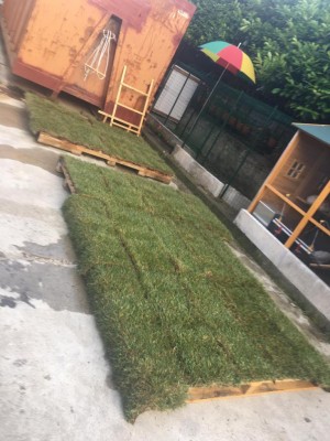 6E5F9D8D-CD36-4063-AAAD-6C2CD9644BDE.jpeg (110.31 KiB) Osservato 273 volte 6E5F9D8D-CD36-4063-AAAD-6C2CD9644BDE.jpeg