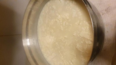 Cagliata dopo 4 ore di riposo. Spugnosa e galleggiante. Preoccupato di possibile contaminazione con E. Coli, gettata nella spazzatura. / 20210507_025045.jpg 20210507_025045.jpg