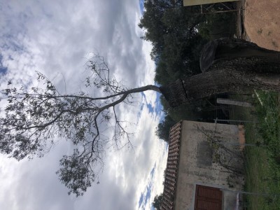 image.jpg (127.79 KiB) Osservato 946 volte image.jpg