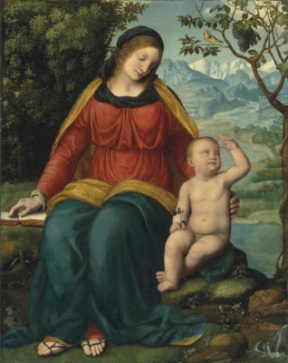 vite maritata al fico.jpg (105 KiB) Osservato 568 volte vite maritata al fico.jpg