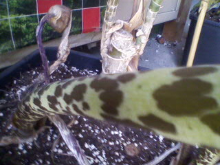 IMG192-01.jpg IMG192-01.jpg