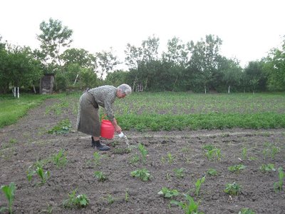 250284_2088168970582_1435941307_32462294_7441889_n.jpg (100.26 KiB) Osservato 727 volte 250284_2088168970582_1435941307_32462294_7441889_n.jpg