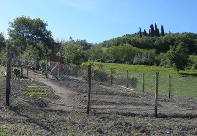 vi allego la foto del mio orticello : ) / DSCN9913-001.JPG DSCN9913-001.JPG