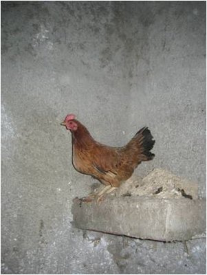 Immagine13.jpg (20.08 KiB) Osservato 680 volte Immagine13.jpg