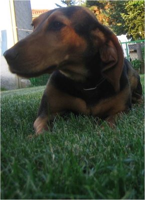 Immagine20.jpg (39.91 KiB) Osservato 680 volte Immagine20.jpg