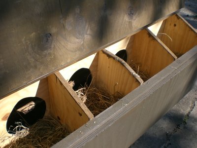 CIMG1022.JPG (231.97 KiB) Osservato 602 volte CIMG1022.JPG