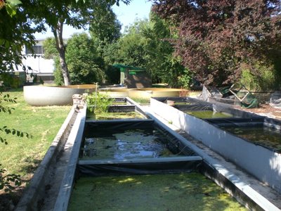 CIMG1024.JPG (233.47 KiB) Osservato 602 volte CIMG1024.JPG