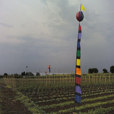 L'orto / 130711_170135.jpg 130711_170135.jpg