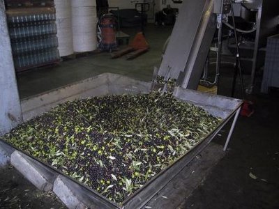 IMG_1449.JPG (33 KiB) Osservato 433 volte IMG_1449.JPG