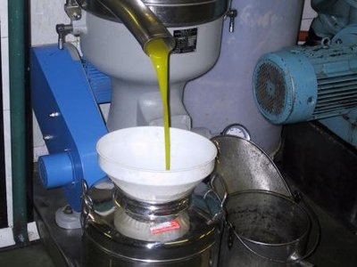 IMG_0040.JPG (24.6 KiB) Osservato 433 volte IMG_0040.JPG