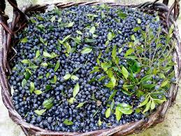 images.jpg images.jpg