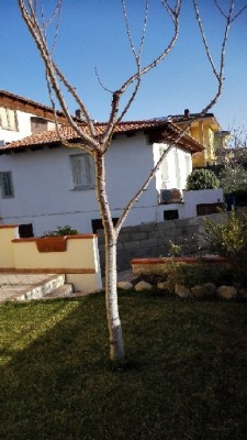 IMG_20150323_075216.jpg (109.1 KiB) Osservato 431 volte IMG_20150323_075216.jpg