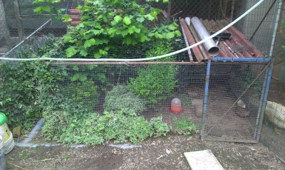 IMAG0700 - Copia.jpg (212.75 KiB) Osservato 1412 volte IMAG0700 - Copia.jpg