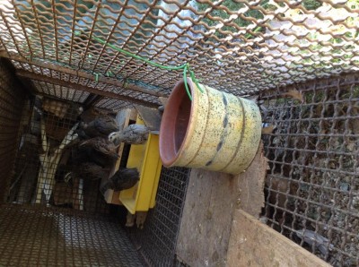 image.jpg (159.27 KiB) Osservato 708 volte image.jpg