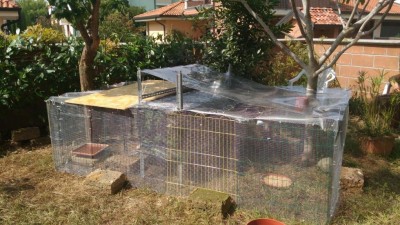 P_20160912_131651_768.jpg (139.17 KiB) Osservato 1446 volte P_20160912_131651_768.jpg