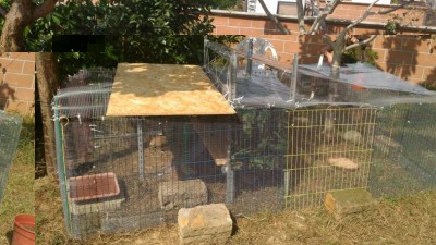 P_20160912_131716_768.jpg (132.89 KiB) Osservato 1446 volte P_20160912_131716_768.jpg