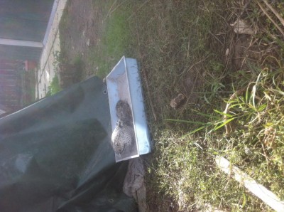 Bagno di cenere / image.jpg image.jpg