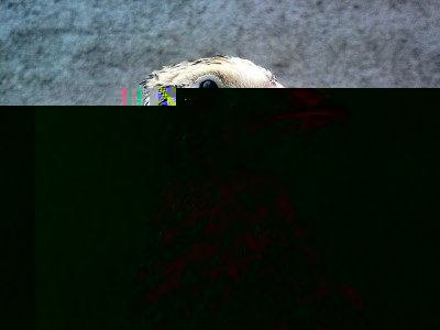 IMG-20161029-WA0014.jpg (234.09 KiB) Osservato 1258 volte IMG-20161029-WA0014.jpg
