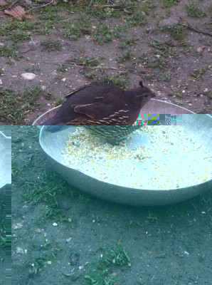 image.jpeg (140.99 KiB) Osservato 622 volte image.jpeg