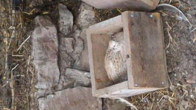 P_20161207_154228.jpg (89.52 KiB) Osservato 1222 volte P_20161207_154228.jpg