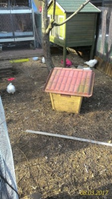 IMG_20170308_160247.jpg (114.77 KiB) Osservato 1053 volte IMG_20170308_160247.jpg