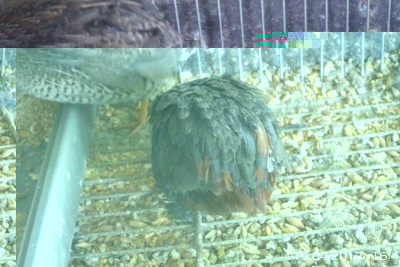 image.jpg (98.39 KiB) Osservato 2056 volte image.jpg