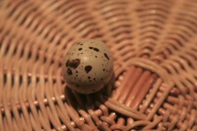 IMG_8070_p.jpg (145.93 KiB) Osservato 1158 volte IMG_8070_p.jpg