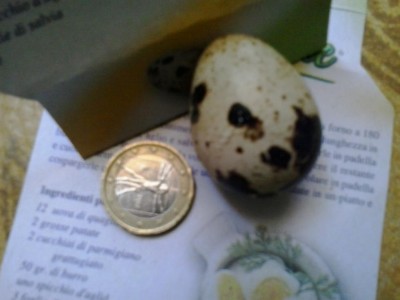 20170519_115716.jpg (49.68 KiB) Osservato 893 volte 20170519_115716.jpg